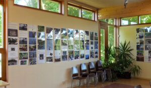 Gefladder expositie in NME Centrum De Drijfsijs (natuur milieu educatie)
